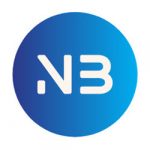 Northbridge Capital Group Logo 250x250